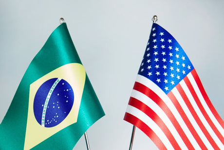 Brazilian Presence In The USA